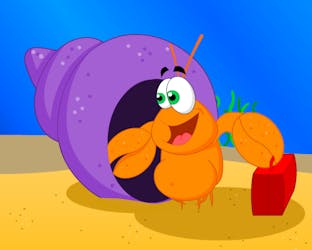 Hermit crab