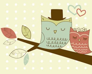 Two owls in love on a tree